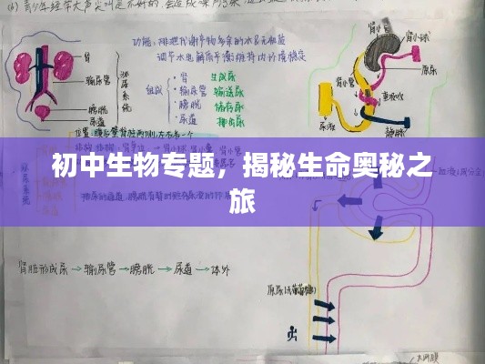 初中生物专题，揭秘生命奥秘之旅