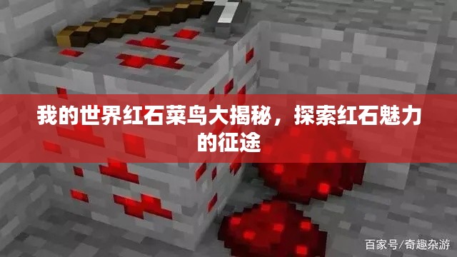 我的世界红石菜鸟大揭秘,探索红石魅力的征途