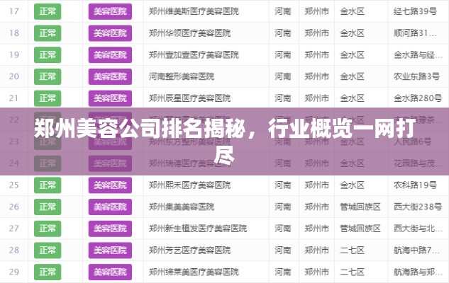 郑州美容公司排名揭秘,行业概览一网打尽