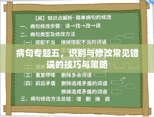病句专题五，识别与修改常见错误的技巧与策略