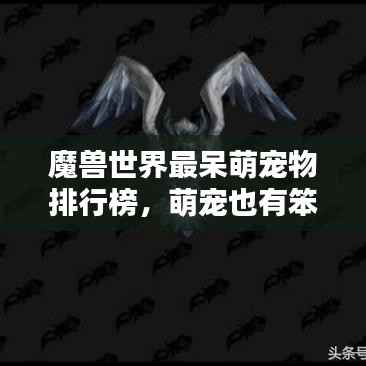 魔兽世界最呆萌宠物排行榜,萌宠也有笨上榜!