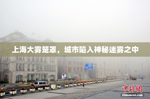上海大雾笼罩,城市陷入神秘迷雾之中