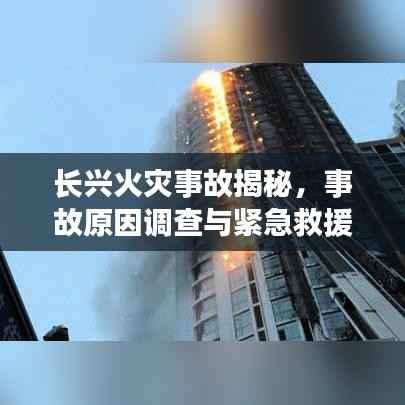 高谈阔论 第4页