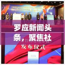 罗应新闻头条,聚焦社会热点,引领时代潮流