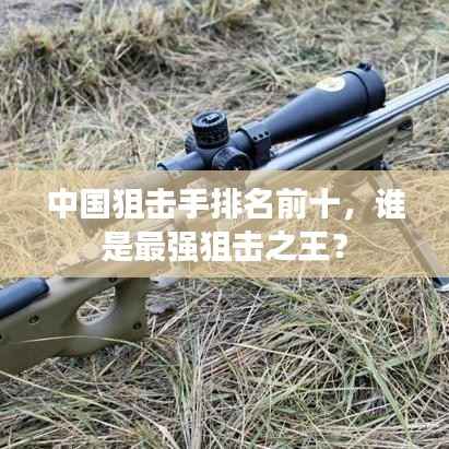 中国狙击手排名前十,谁是最强狙击之王?