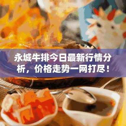 永城牛排今日最新行情分析,价格走势一网打尽!