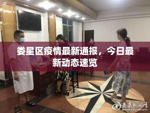 娄星区疫情最新通报，今日最新动态速览