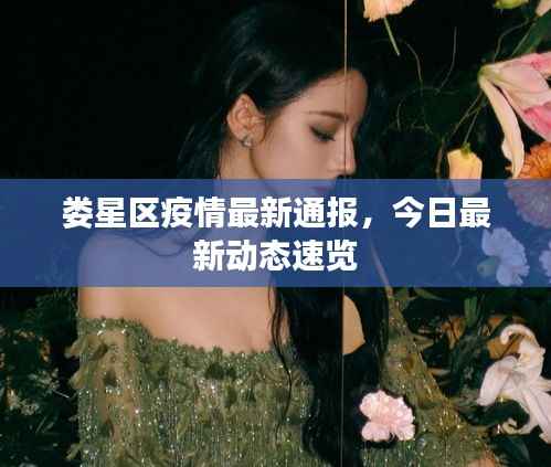 娄星区疫情最新通报,今日最新动态速览