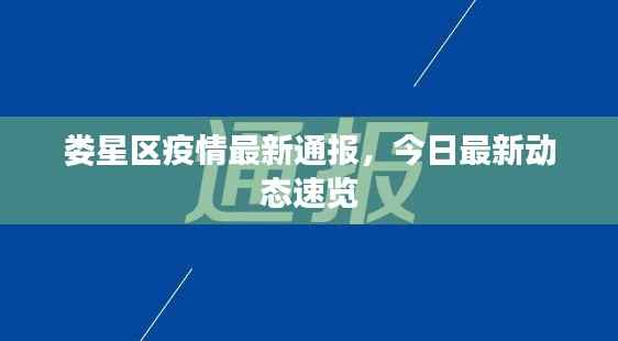 娄星区疫情最新通报,今日最新动态速览