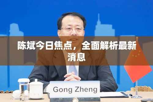 陈斌今日焦点,全面解析最新消息