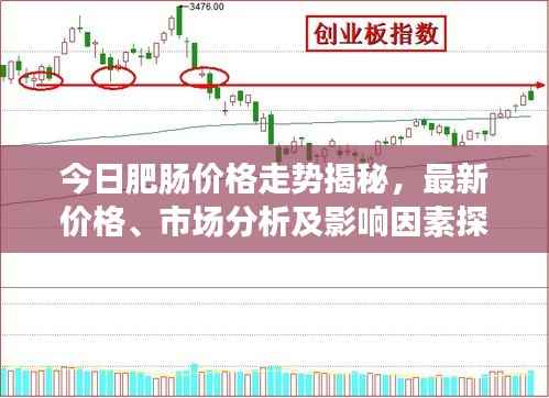 今日肥肠价格走势揭秘，最新价格、市场分析及影响因素探讨