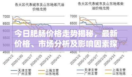 今日肥肠价格走势揭秘,最新价格、市场分析及影响因素探讨