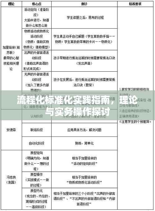 流程化标准化实践指南，理论与实务操作探讨