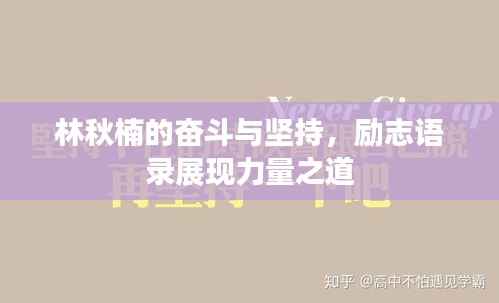 林秋楠的奋斗与坚持,励志语录展现力量之道