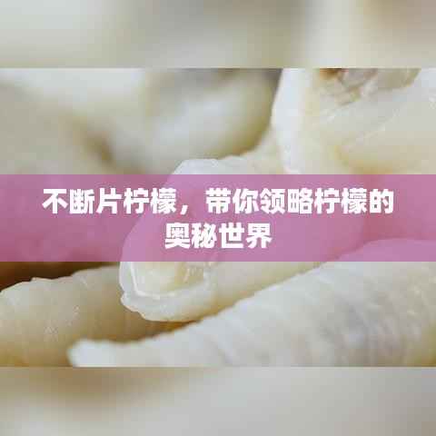 不断片柠檬，带你领略柠檬的奥秘世界