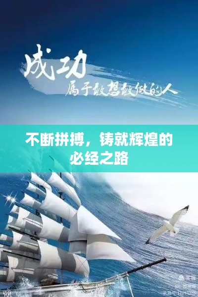 不断拼搏,铸就辉煌的必经之路