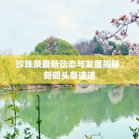 珍珠泉最新动态与发展揭秘,新闻头条速递