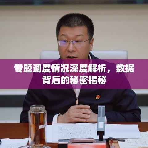 专题调度情况深度解析，数据背后的秘密揭秘