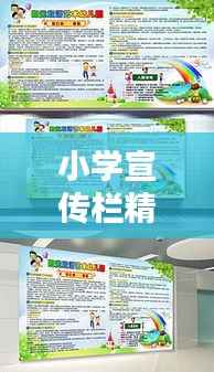 小学宣传栏精彩素材,激发无限潜能,携手共创美好未来