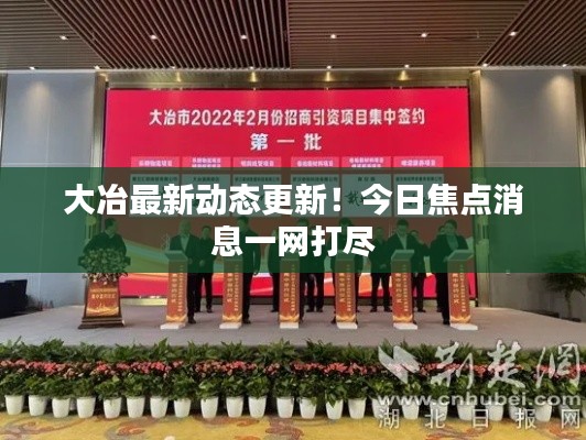 大冶最新动态更新！今日焦点消息一网打尽