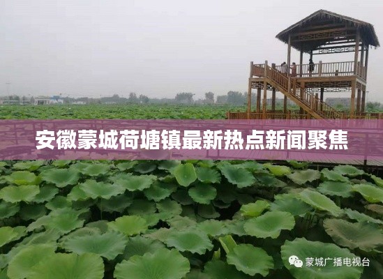 安徽蒙城荷塘镇最新热点新闻聚焦