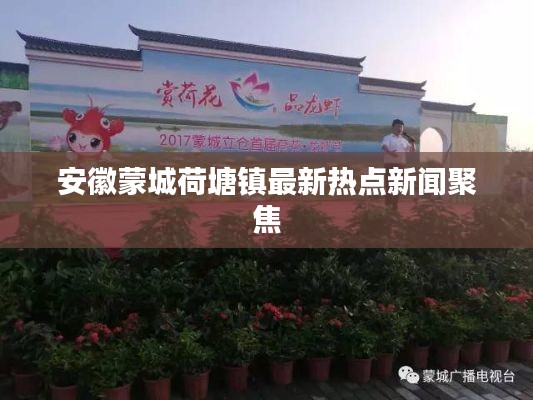 安徽蒙城荷塘镇最新热点新闻聚焦