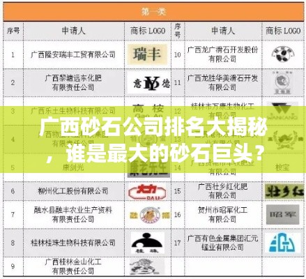 广西砂石公司排名大揭秘，谁是最大的砂石巨头？