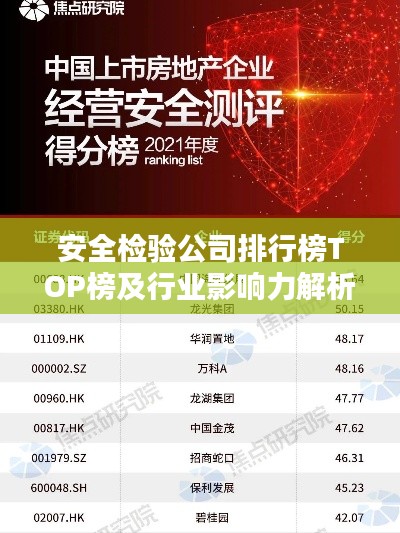 安全检验公司排行榜TOP榜及行业影响力解析