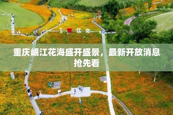 重庆岷江花海盛开盛景，最新开放消息抢先看