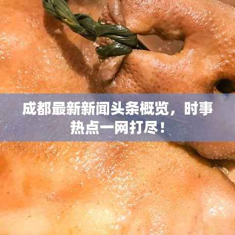 成都最新新闻头条概览，时事热点一网打尽！