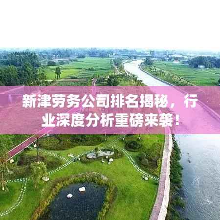 新津劳务公司排名揭秘,行业深度分析重磅来袭!
