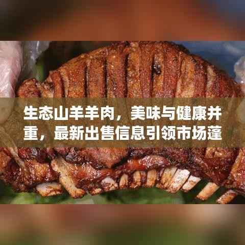 生态山羊羊肉,美味与健康并重,最新出售信息引领市场蓬勃发展