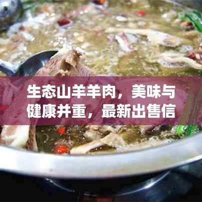 生态山羊羊肉,美味与健康并重,最新出售信息引领市场蓬勃发展