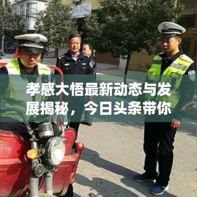 贵不可言 第3页