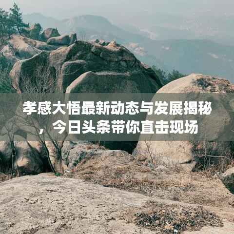 孝感大悟最新动态与发展揭秘,今日头条带你直击现场