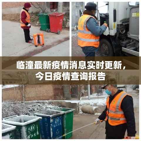 临潼最新疫情消息实时更新，今日疫情查询报告