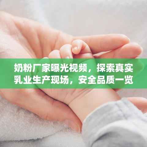 奶粉厂家曝光视频,探索真实乳业生产现场,安全品质一览无遗