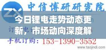 今日锂电走势动态更新,市场动向深度解析与前景展望
