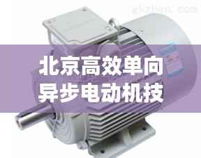 北京高效单向异步电动机技术革新与应用探索