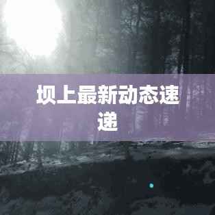 坝上最新动态速递