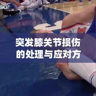 林下风范 第5页