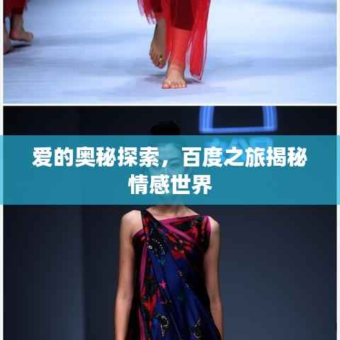 爱的奥秘探索，百度之旅揭秘情感世界
