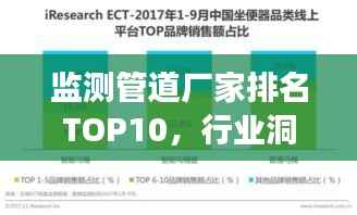 监测管道厂家排名TOP10,行业洞察深度解析报告