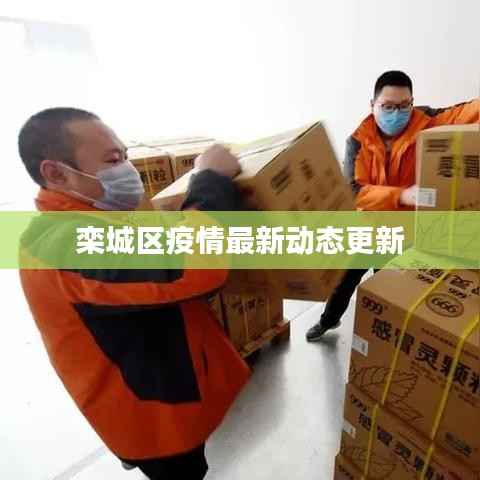 栾城区疫情最新动态更新