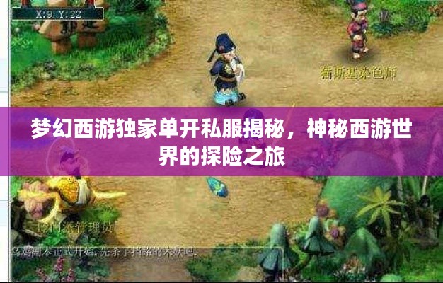 梦幻西游独家单开私服揭秘，神秘西游世界的探险之旅