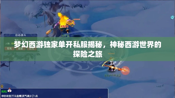 梦幻西游独家单开私服揭秘,神秘西游世界的探险之旅