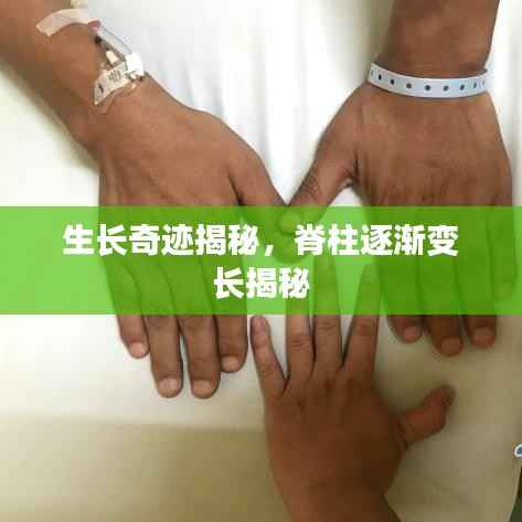 生长奇迹揭秘，脊柱逐渐变长揭秘