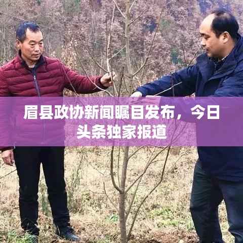 眉县政协新闻瞩目发布,今日头条独家报道