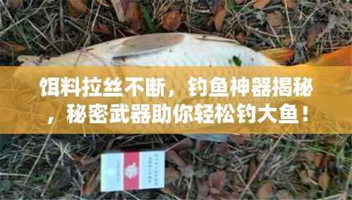 饵料拉丝不断，钓鱼神器揭秘，秘密武器助你轻松钓大鱼！