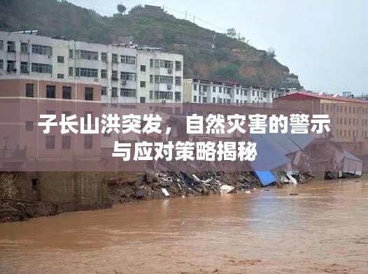 子长山洪突发,自然灾害的警示与应对策略揭秘
